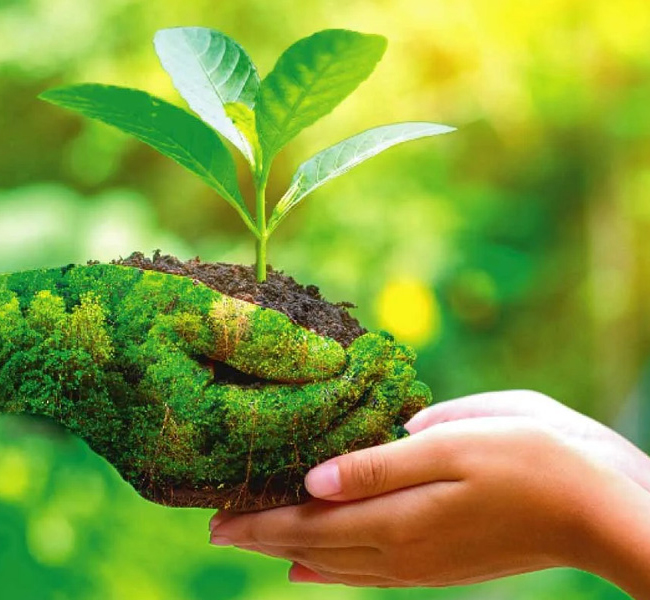 Pingaksh Innovative Infra Pvt. Ltd.